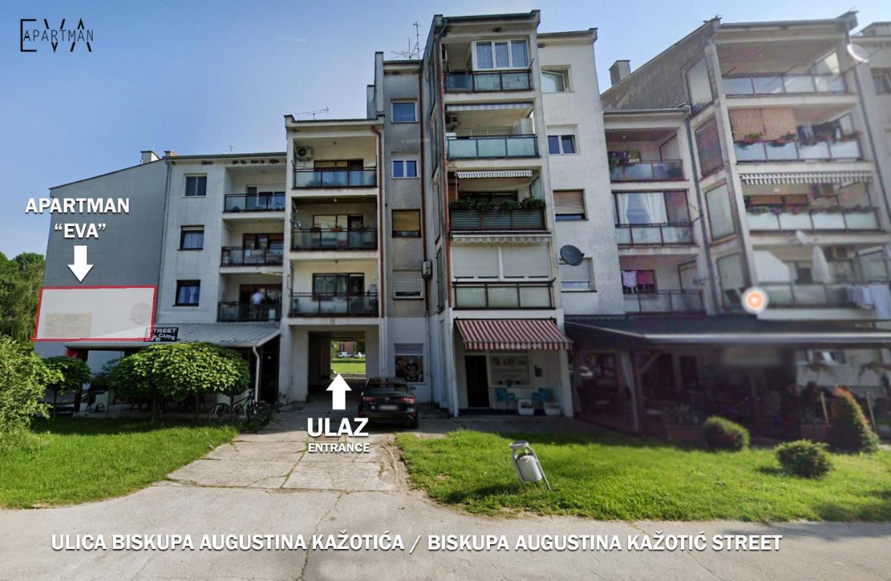 Eva - / Zagreb